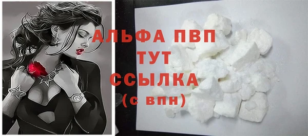 PSILOCYBIN Балабаново