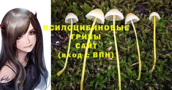 PSILOCYBIN Балабаново