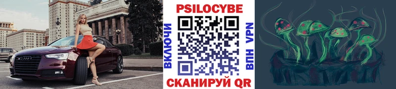Псилоцибиновые грибы Psilocybine cubensis  Белогорск 